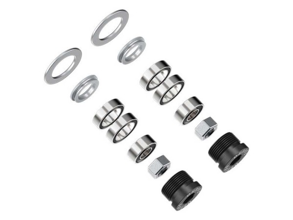 Assioma bearing kit